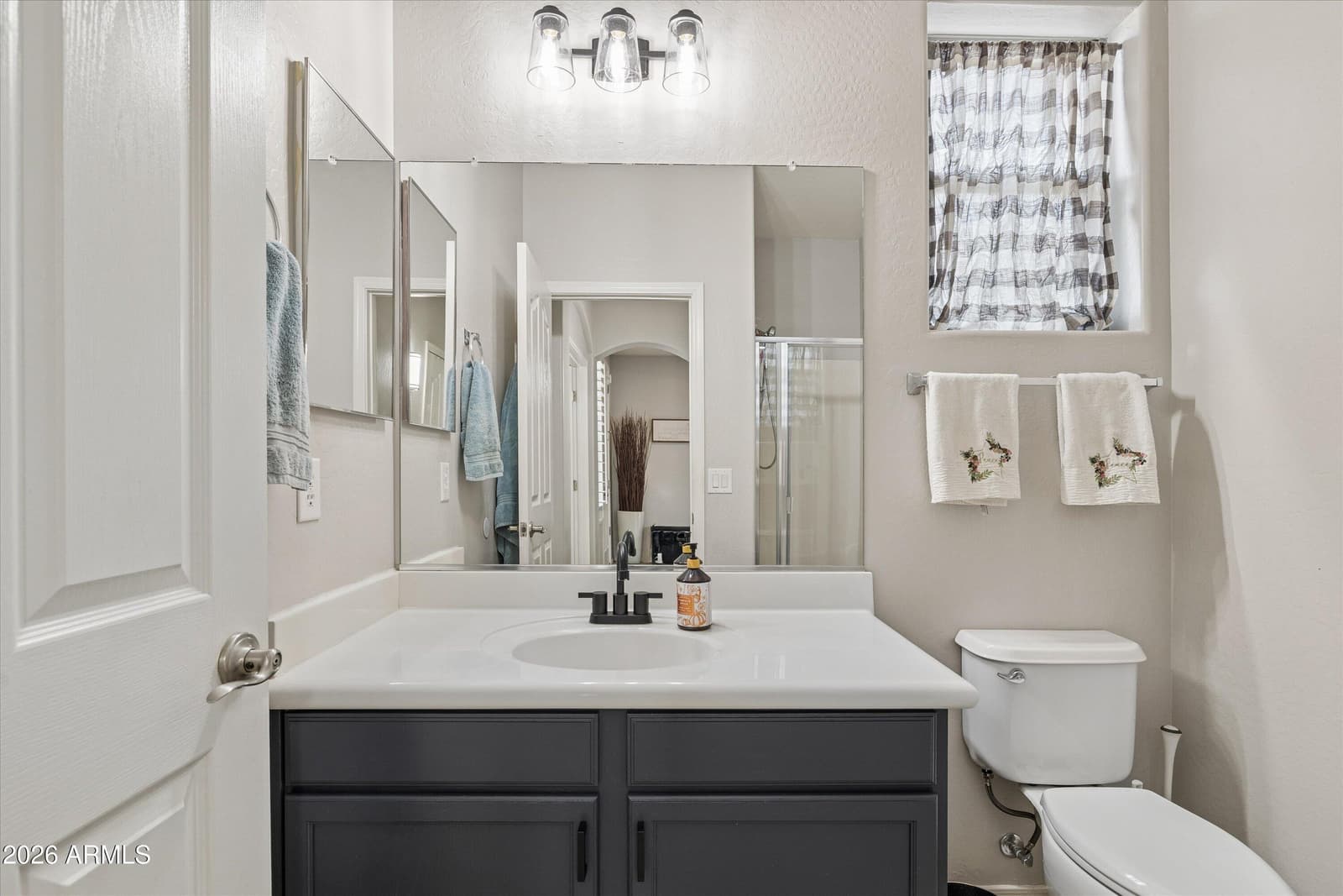 42115 W Arvada Court, Maricopa, AZ 85138 — photo 11 of 36