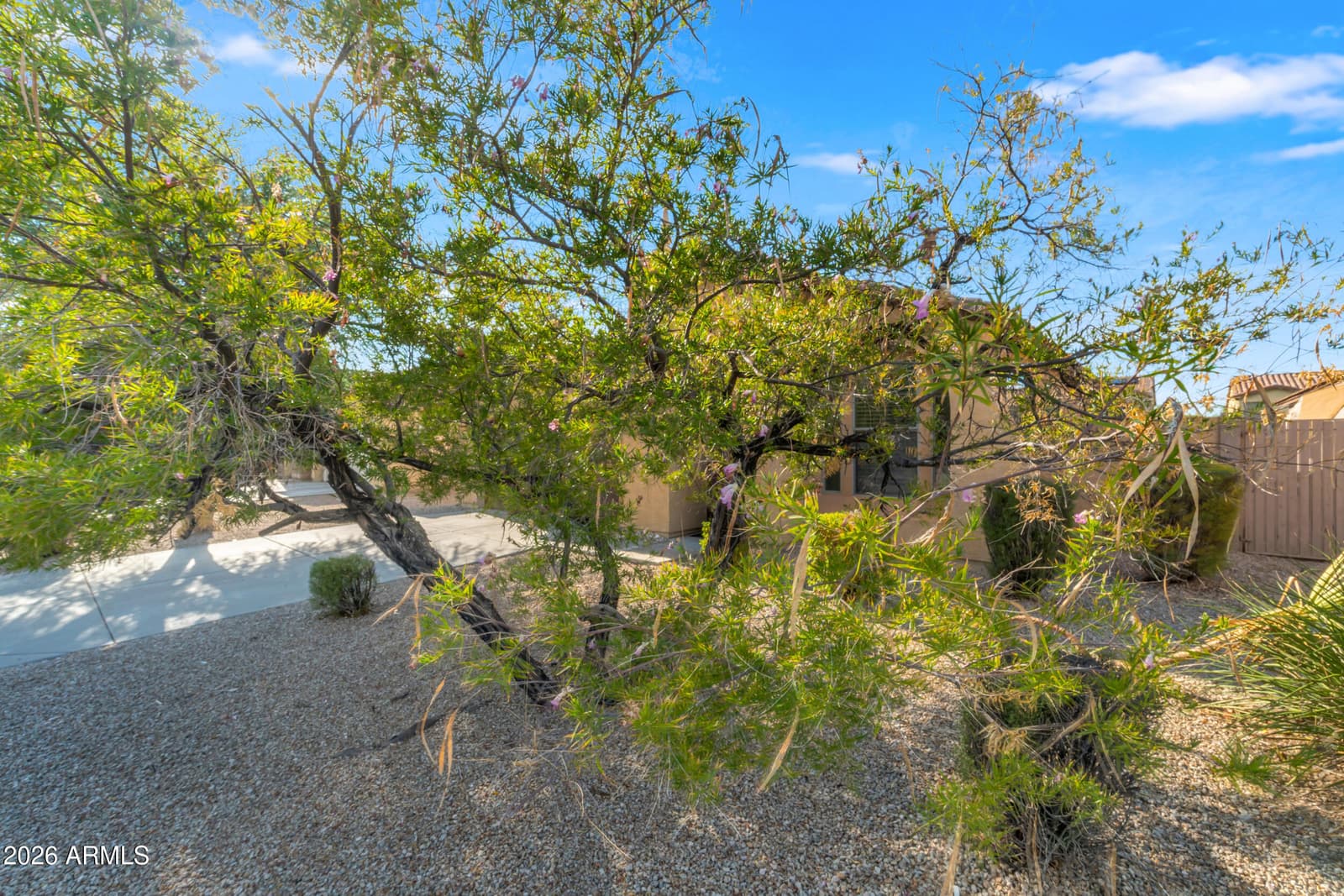 18420 W La Mirada Drive, Goodyear, AZ 85338 — photo 48 of 70