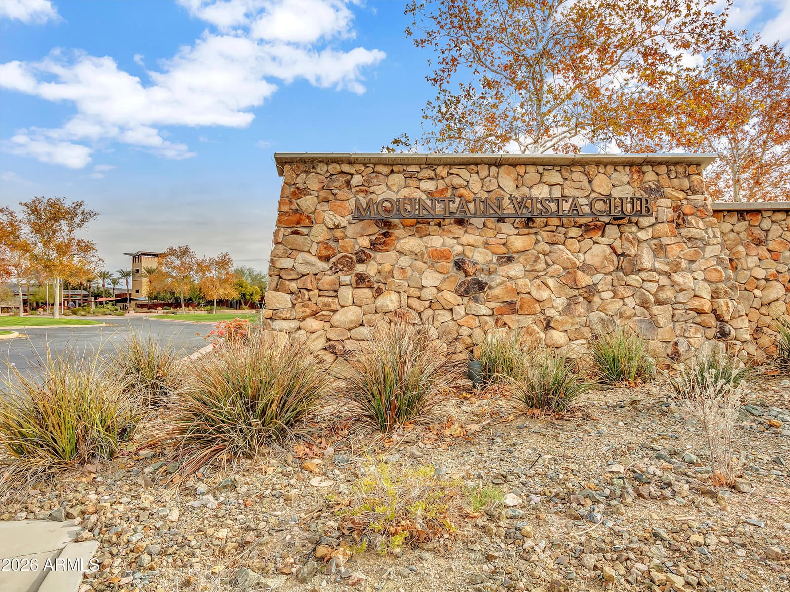 28959 N 124th Avenue, Peoria, AZ 85383 — photo 44 of 45