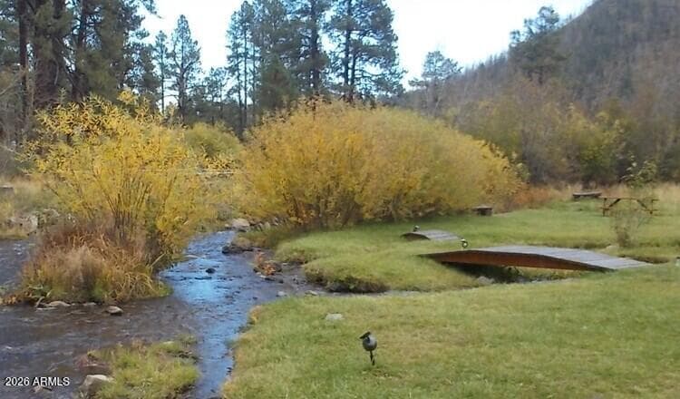 32 1009 Unit 10 (Cabin 90), Greer, AZ 85927 — photo 10 of 21