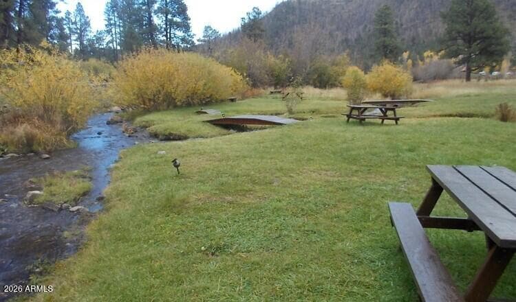 32 1009 Unit 10 (Cabin 90), Greer, AZ 85927 — photo 11 of 21