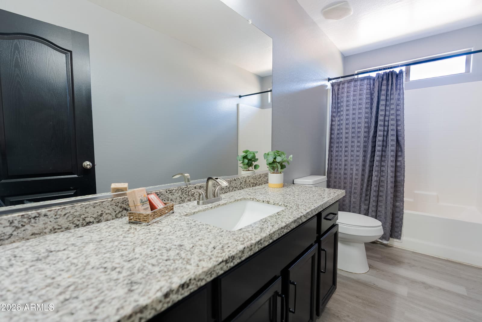 12038 W Leather Lane, Peoria, AZ 85383 — photo 23 of 29