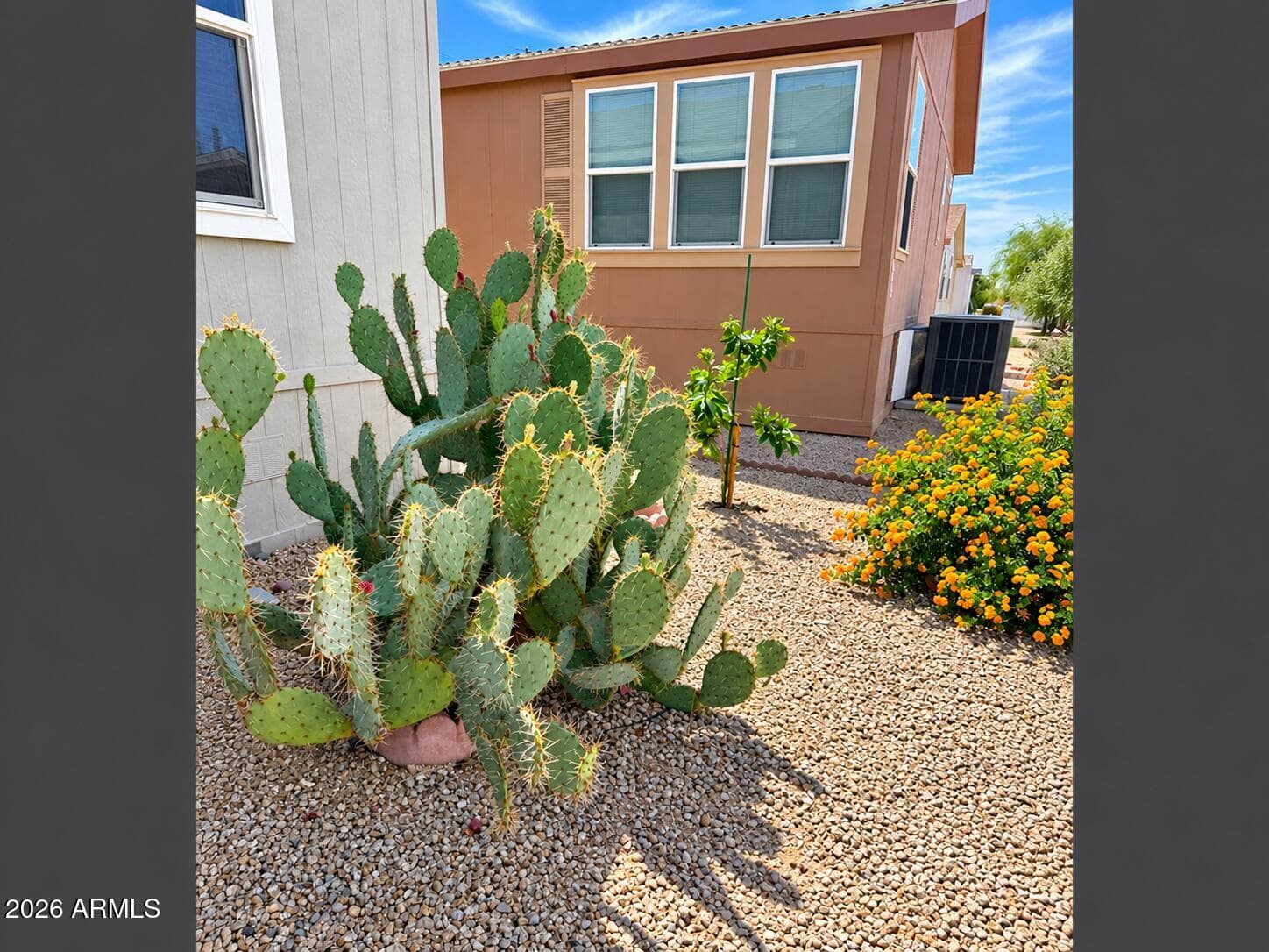 3901 E Pinnacle Peak Rd 303, Phoenix, AZ 85050 — photo 33 of 39