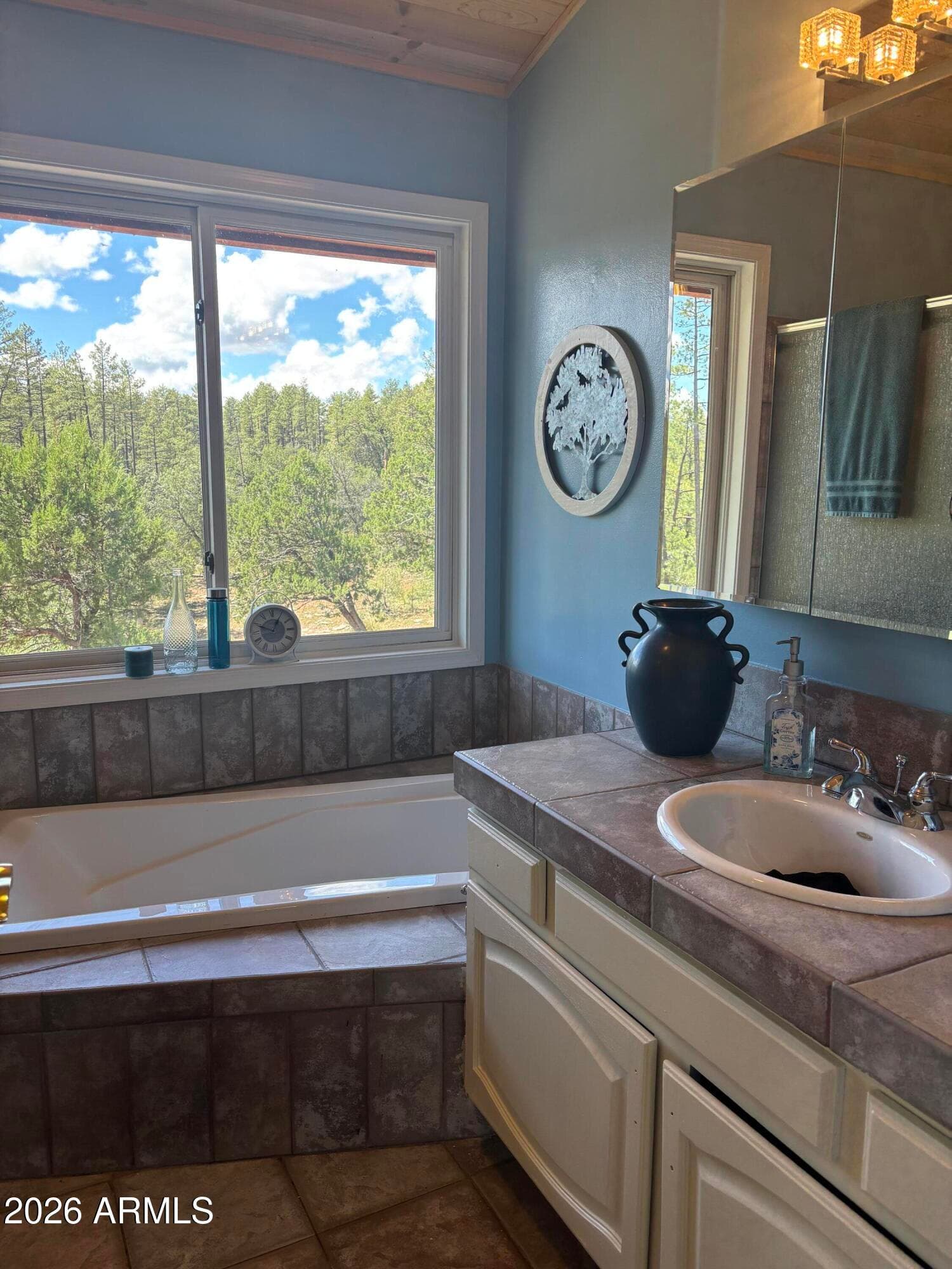 264 S Conifer Drive, Payson, AZ 85541 — photo 21 of 37
