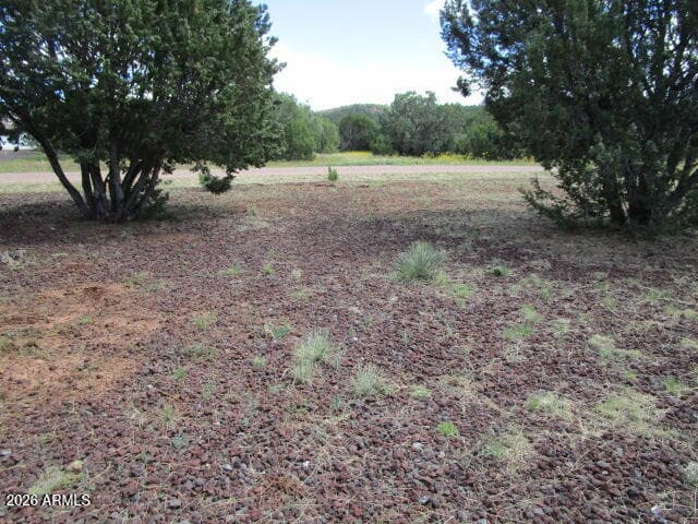 63 County Road #3203 Road, Vernon, AZ 85940 — photo 38 of 47