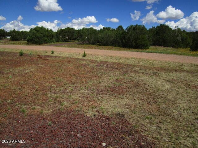 63 County Road #3203 Road, Vernon, AZ 85940 — photo 40 of 47