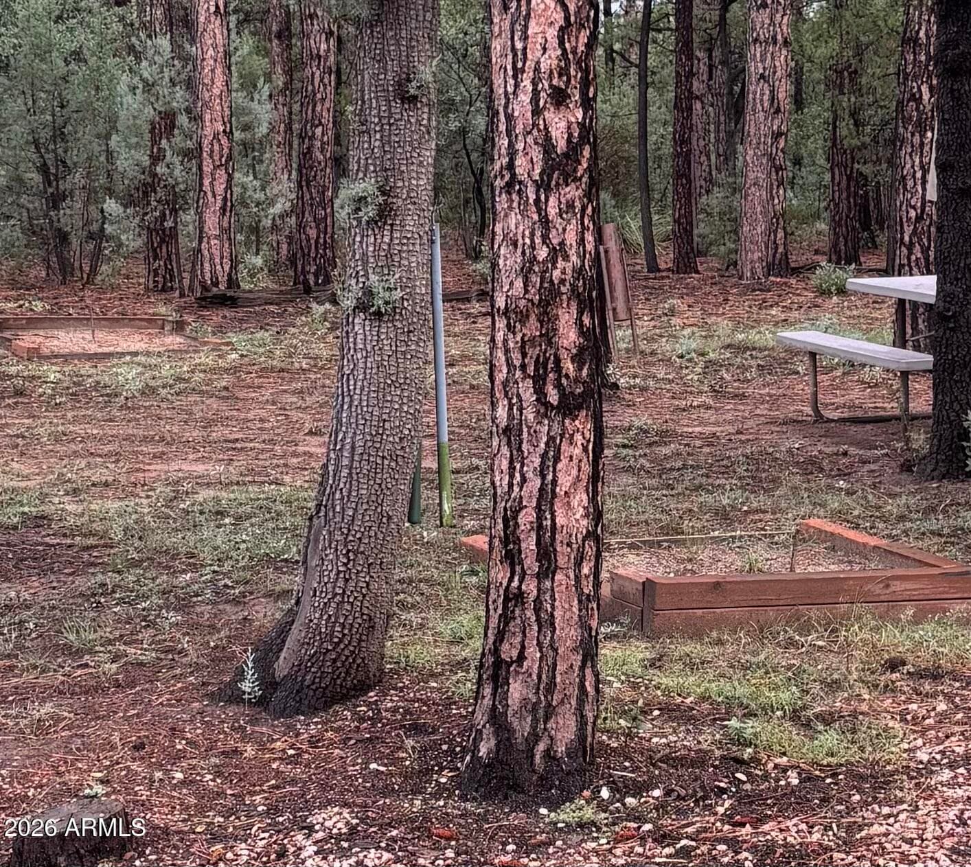 264 S Conifer Drive, Payson, AZ 85541 — photo 35 of 37