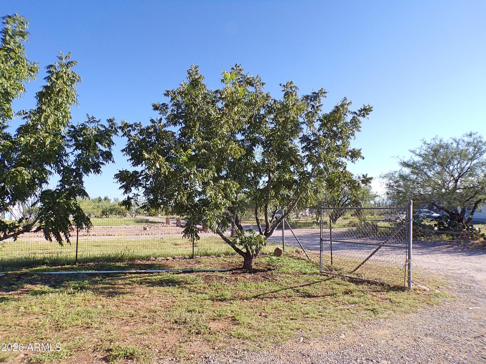 5760 S Mesquite Tree Lane, Hereford, AZ 85615 — photo 4 of 40