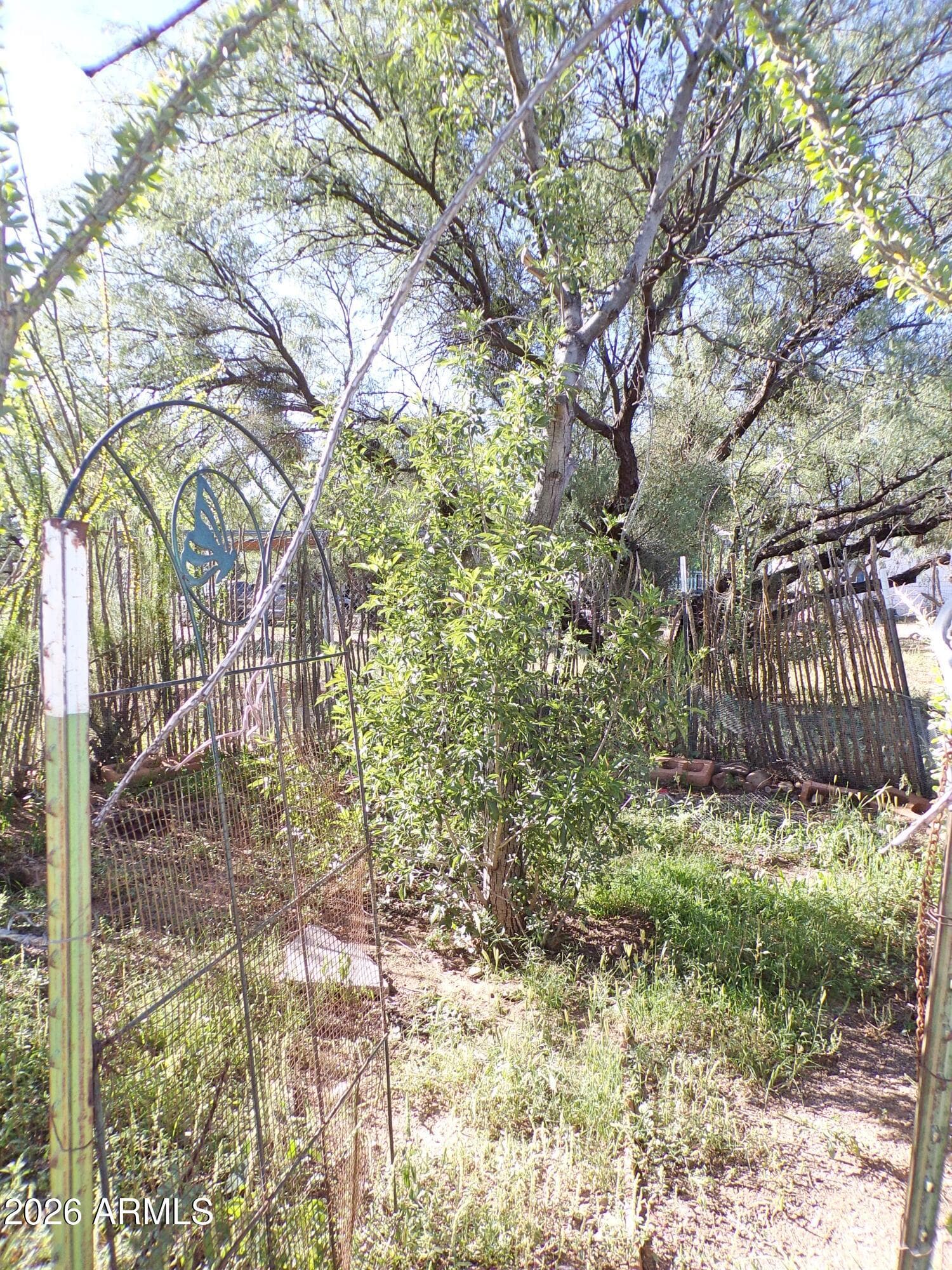 5760 S Mesquite Tree Lane, Hereford, AZ 85615 — photo 40 of 40
