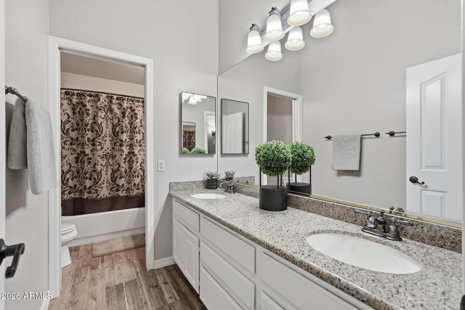 1736 E Mallory Street, Mesa, AZ 85203 — photo 19 of 35