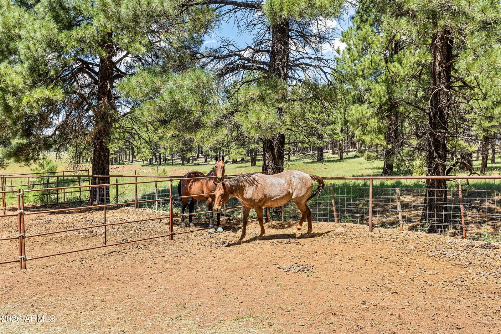 1459 N Transwestern Pump Road, Bellemont, AZ 86015 — photo 81 of 87