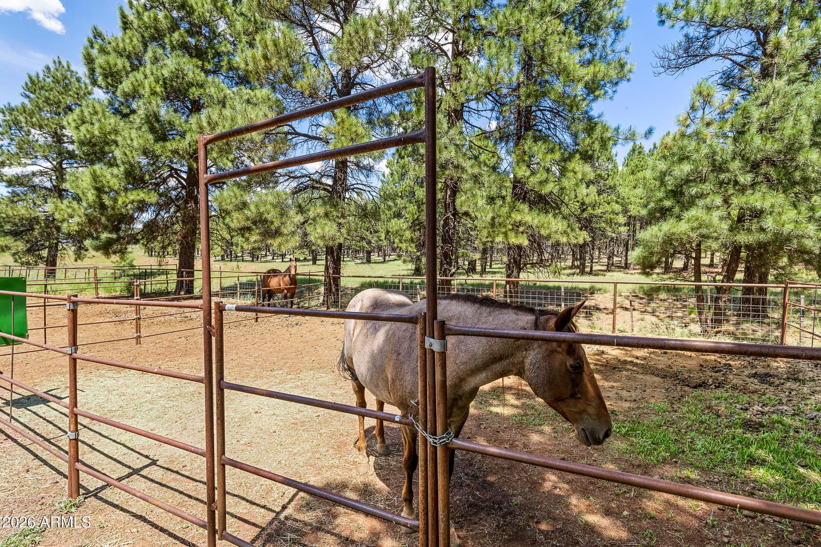 1459 N Transwestern Pump Road, Bellemont, AZ 86015 — photo 82 of 87