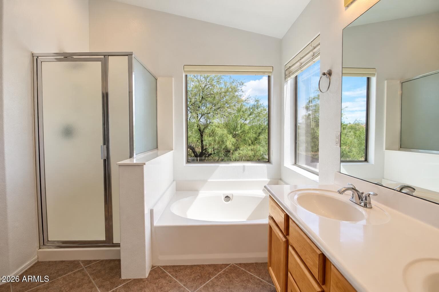 33251 N Symer Drive, Cave Creek, AZ 85331 — photo 18 of 29