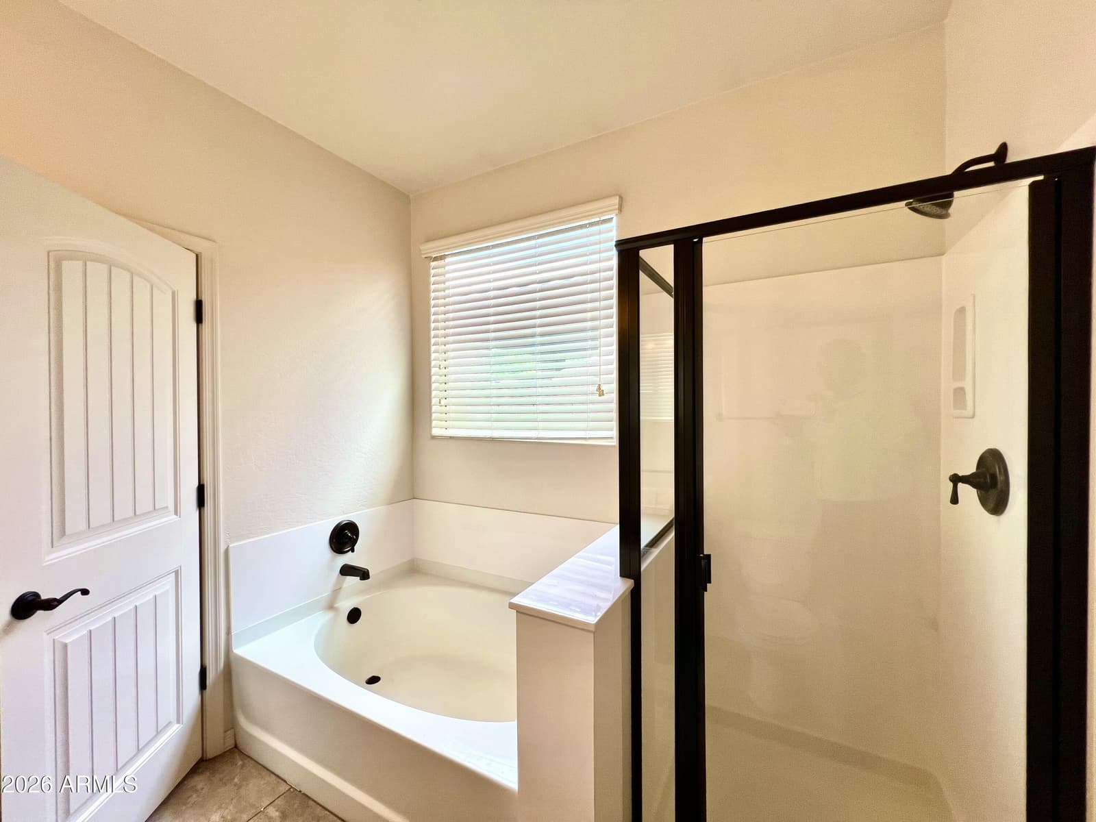 10032 W Watkins Street, Tolleson, AZ 85353 — photo 11 of 17