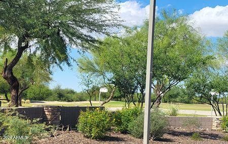 4382 E Rose Quartz Lane, San Tan Valley, AZ 85143 — photo 46 of 46