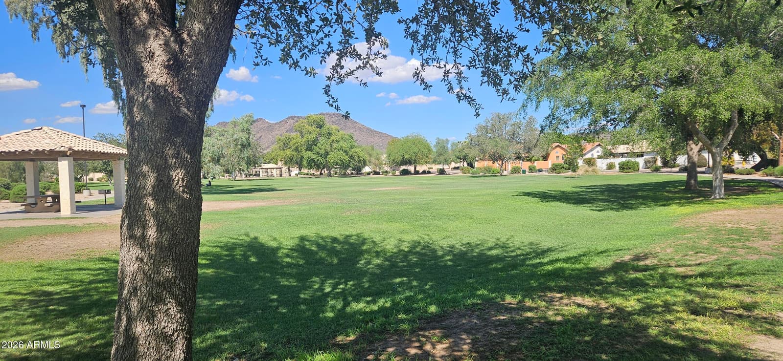 5335 W Kerry Lane, Glendale, AZ 85308 — photo 58 of 65