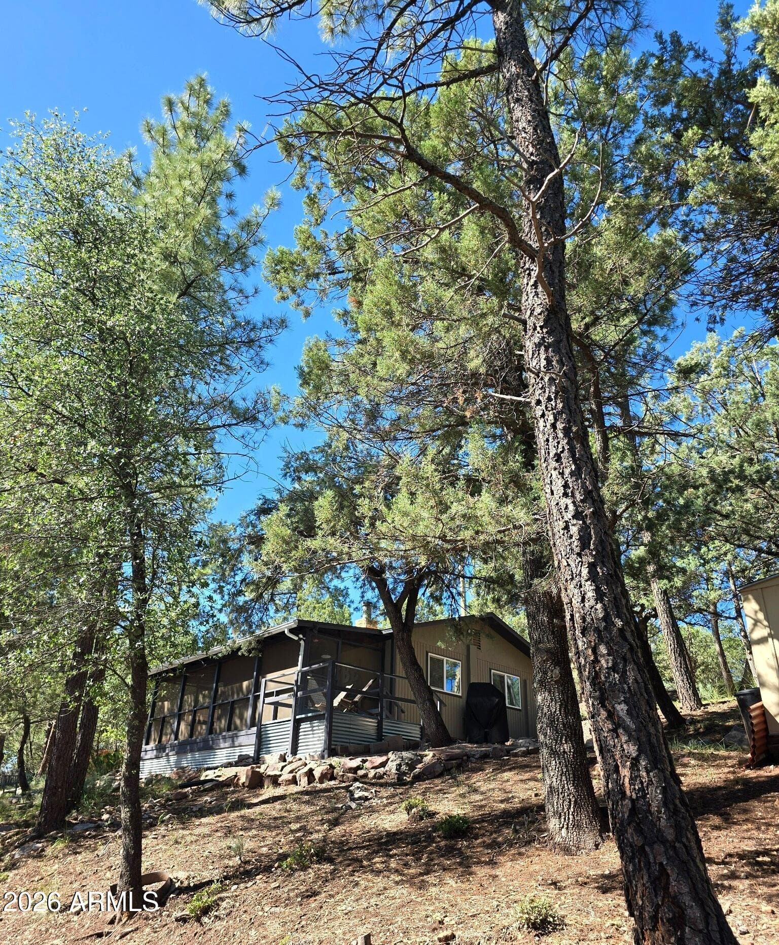 3483 N Hillside Road, Pine, AZ 85544 — photo 3 of 27