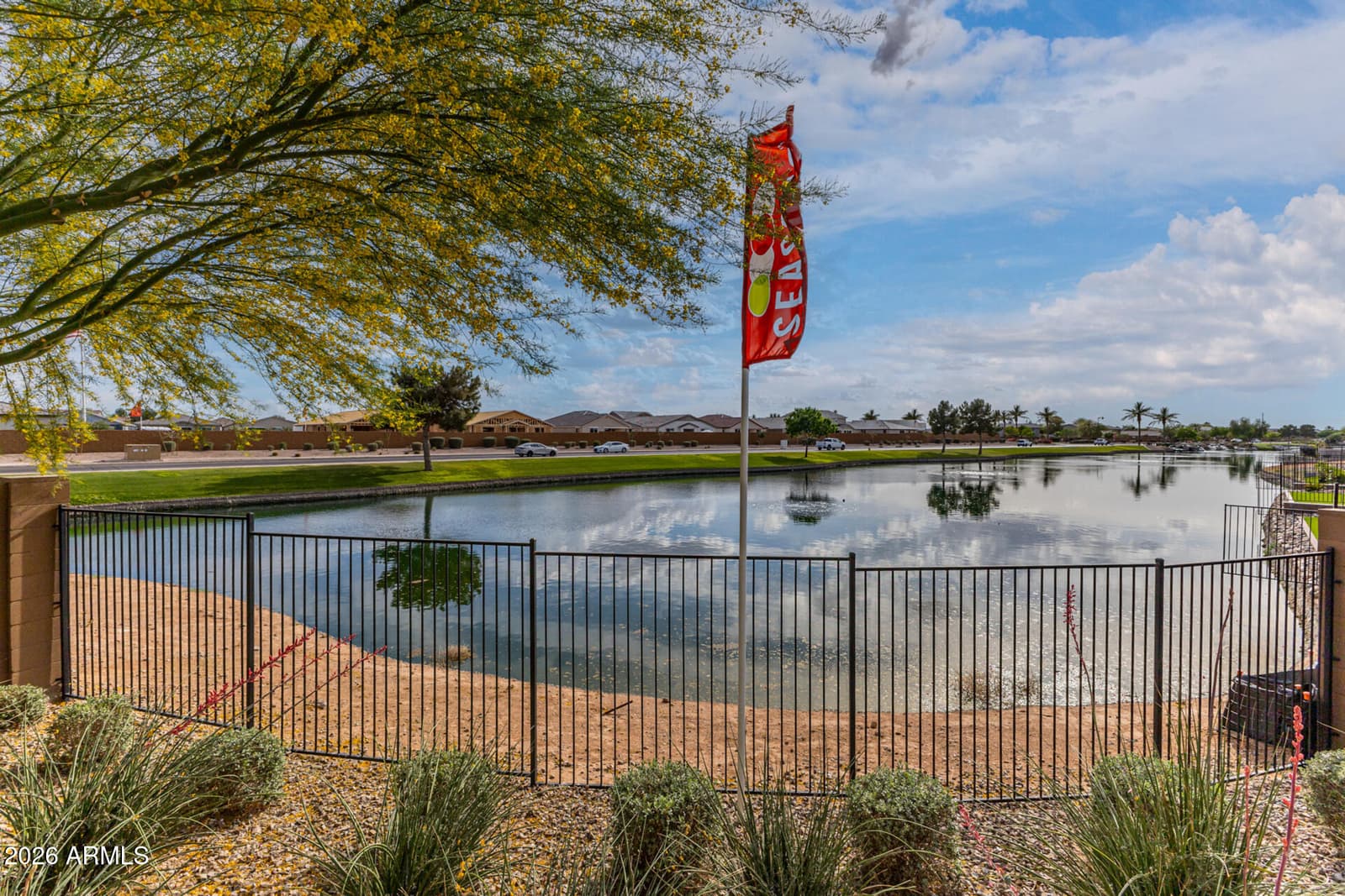 40435 W Rio Grande Drive, Maricopa, AZ 85138 — photo 36 of 41