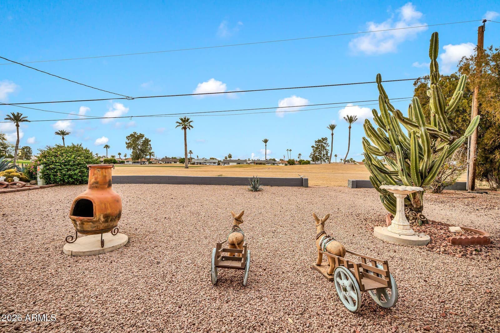 11438 N Balboa Drive, Sun City, AZ 85351 — photo 44 of 50