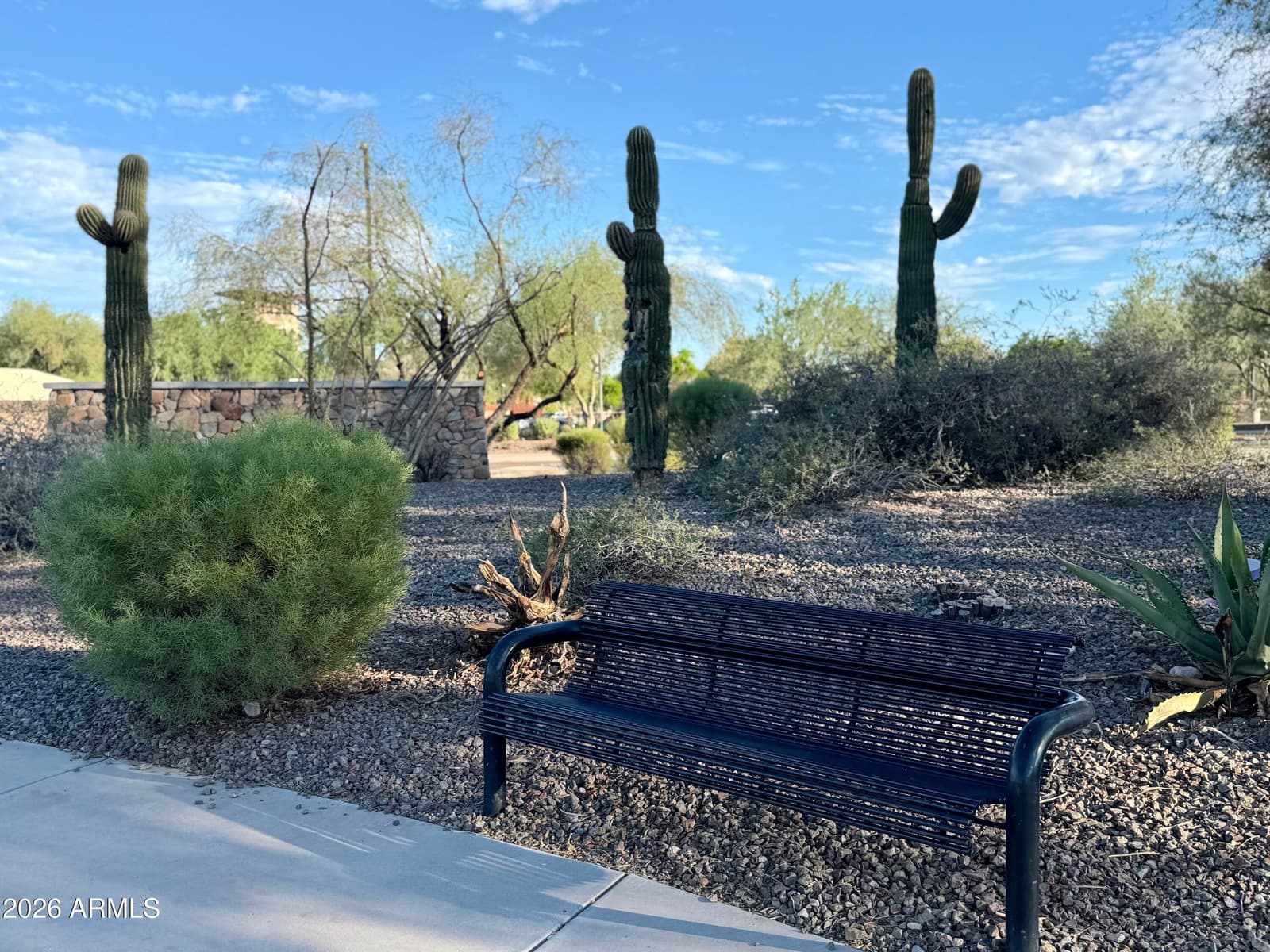 29051 N 125th Lane, Peoria, AZ 85383 — photo 57 of 62