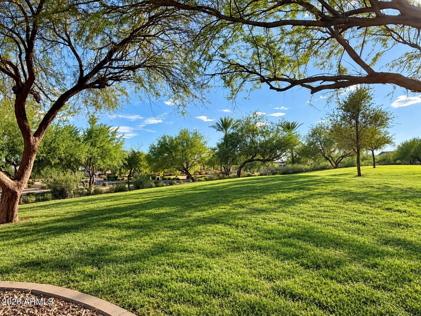 29051 N 125th Lane, Peoria, AZ 85383 — photo 58 of 62