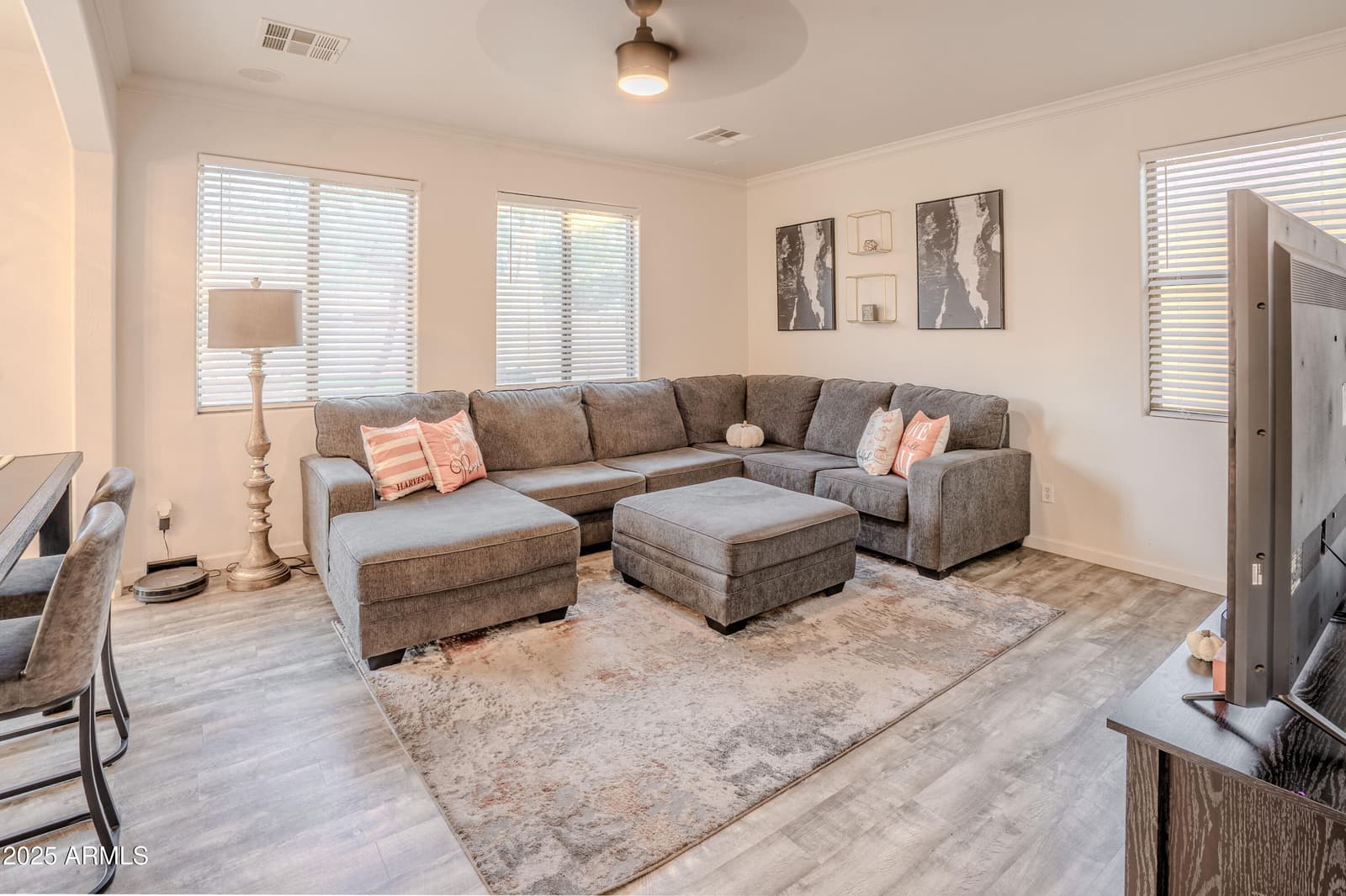 44165 W Kramer Lane, Maricopa, AZ 85138 — photo 4 of 48