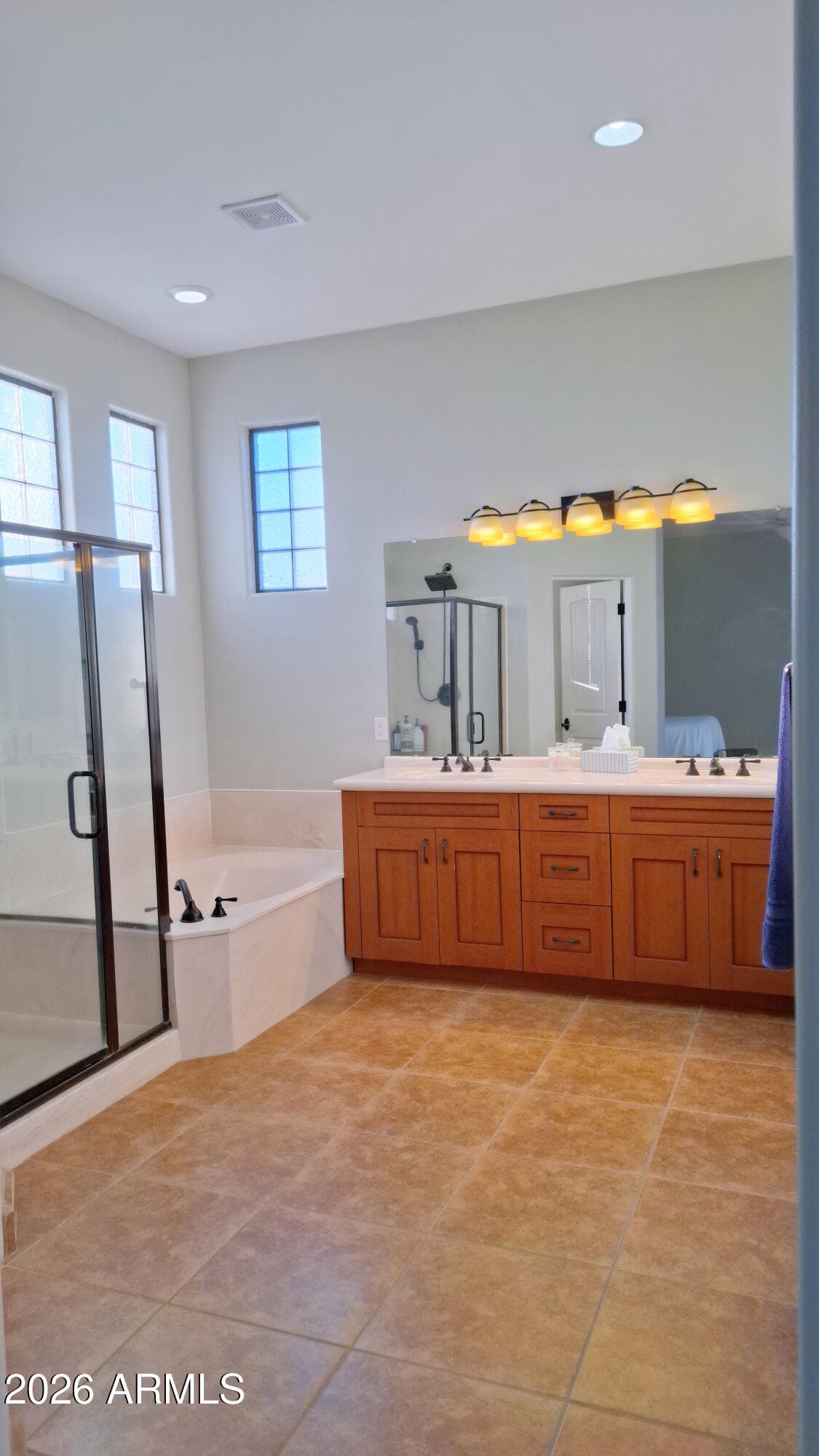 30813 N 164TH Drive, Surprise, AZ 85387 — photo 28 of 37