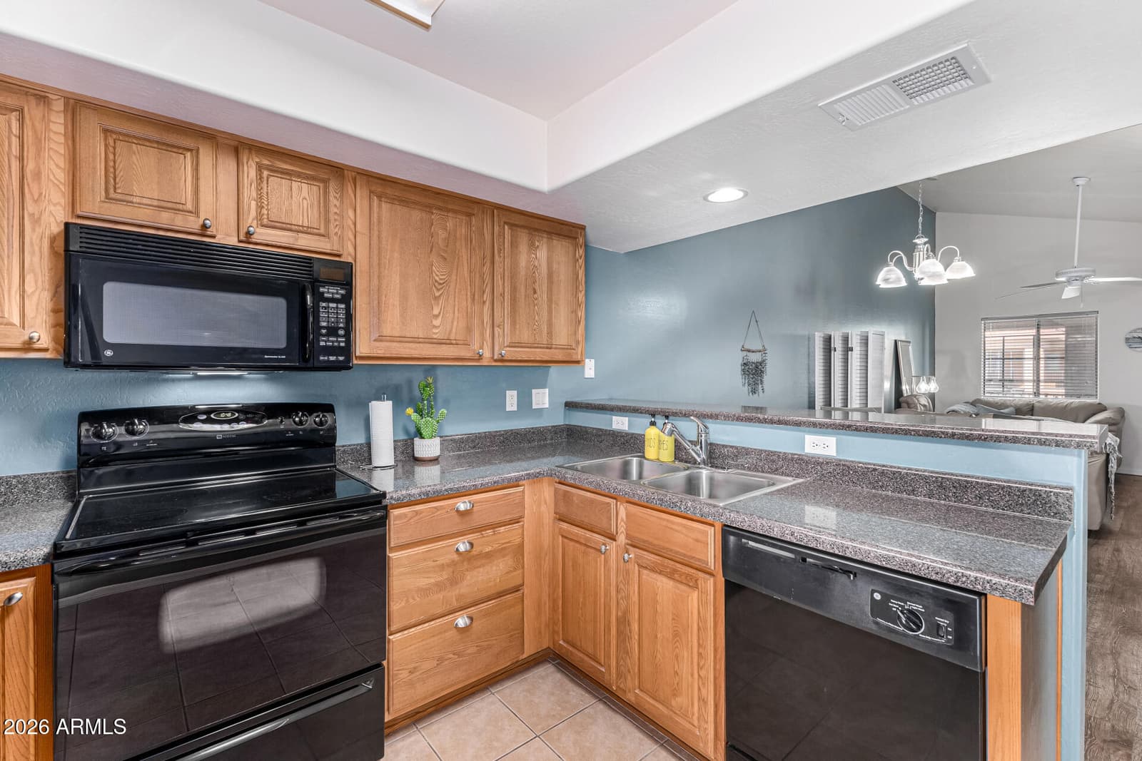 537 S DELAWARE Drive 221, Apache Junction, AZ 85120 — photo 9 of 31