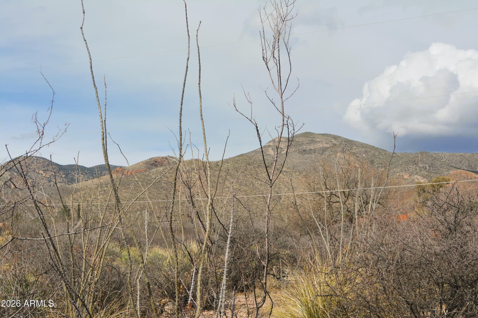 994 S Coy Street, Bisbee, AZ 85603 — photo 38 of 39