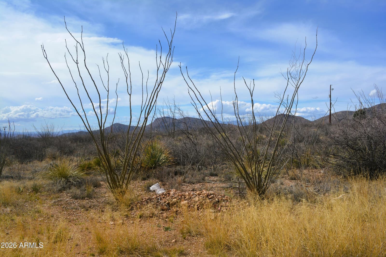 994 S Coy Street, Bisbee, AZ 85603 — photo 39 of 39