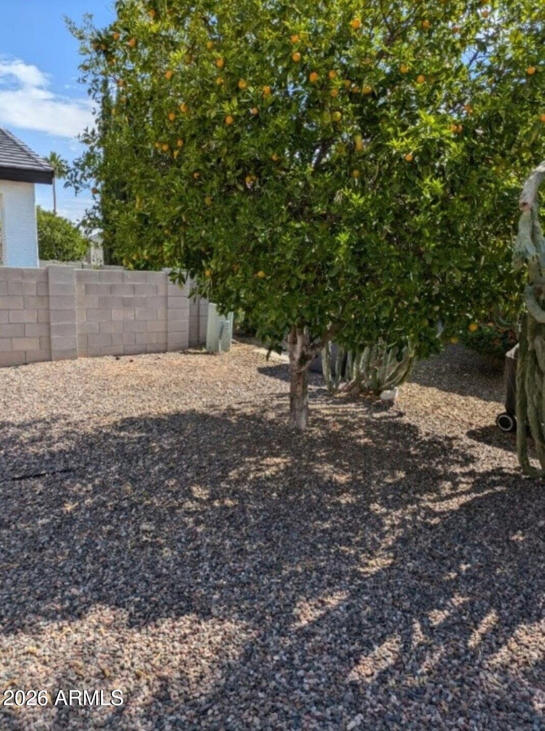 2511 N 56th Street, Mesa, AZ 85215 — photo 4 of 28