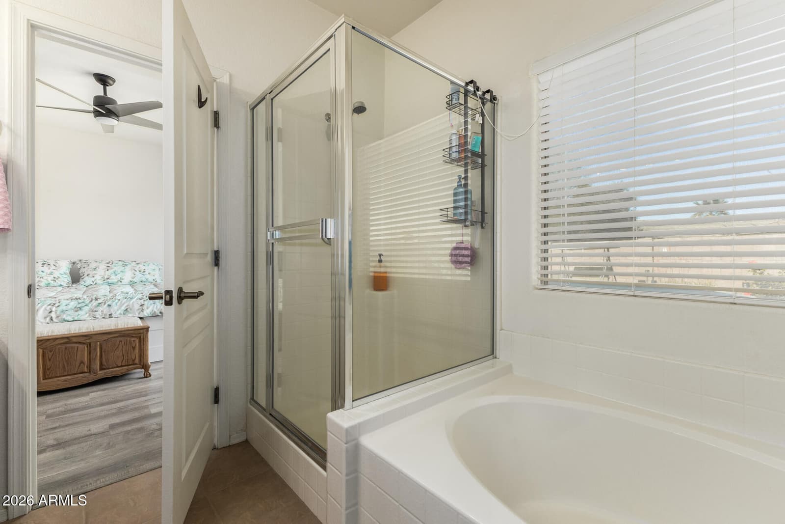 44296 W Desert Plant Trail, Maricopa, AZ 85139 — photo 13 of 26