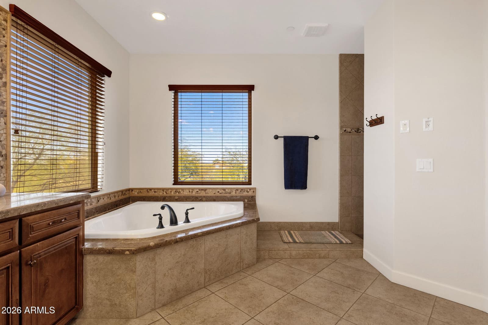 5228 E Barwick Drive, Cave Creek, AZ 85331 — photo 29 of 74