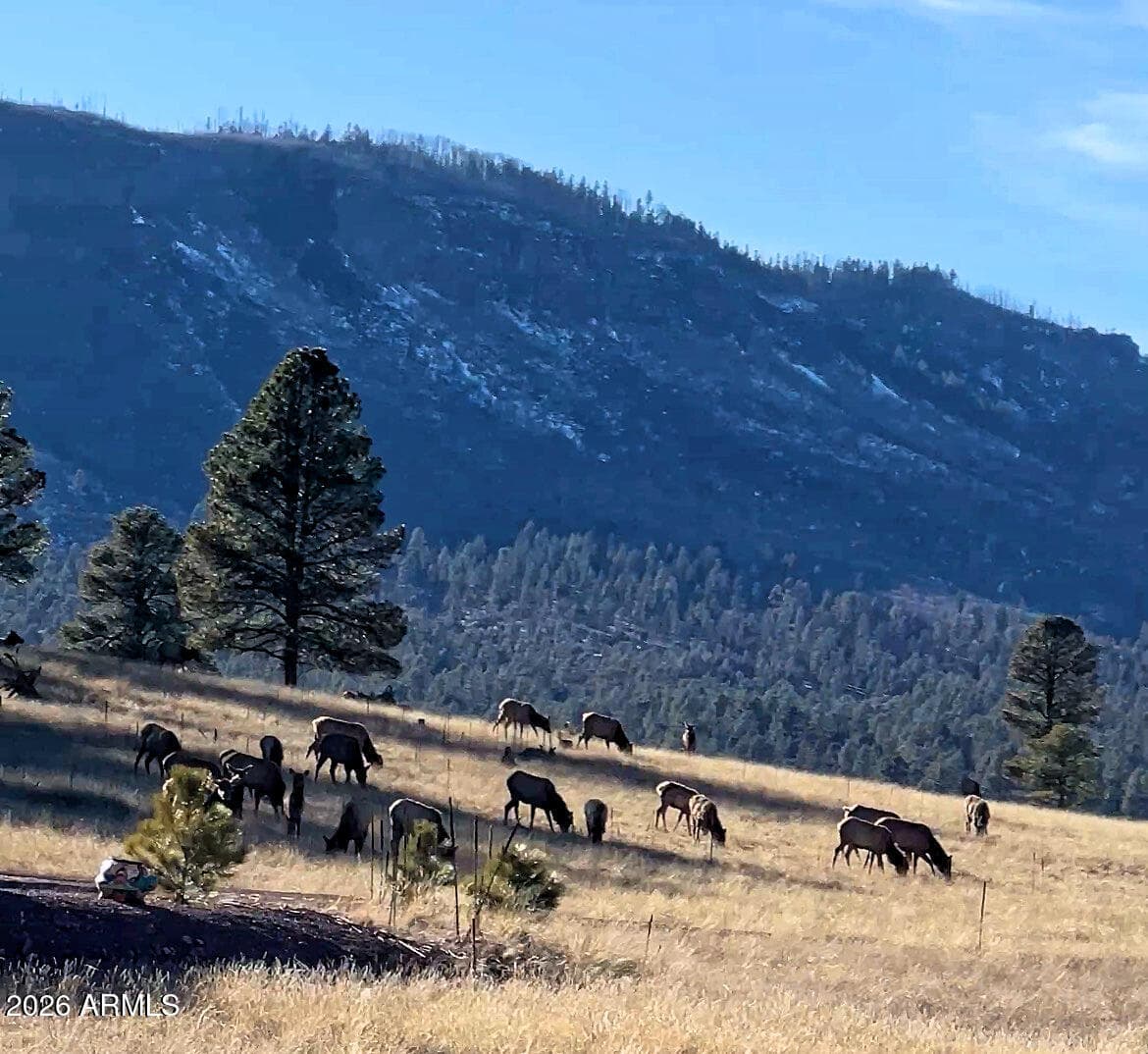 3 County Road N2261, Alpine, AZ 85920 — photo 41 of 41