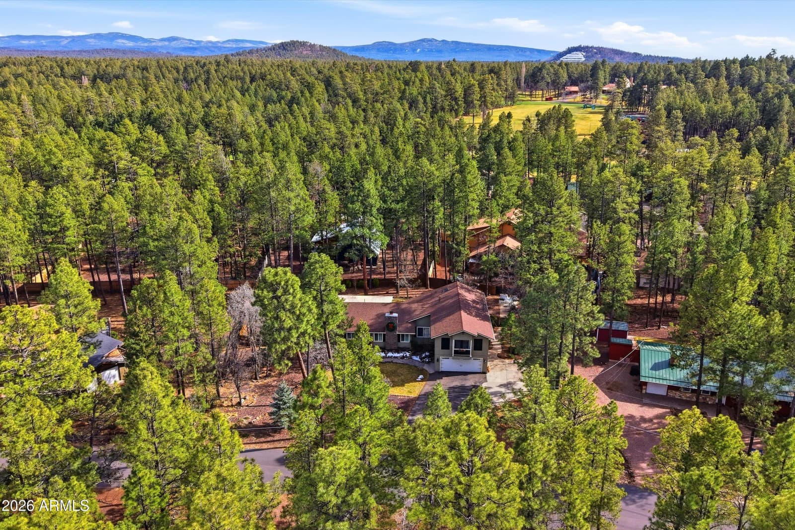 6679 TALL PINE Drive, Pinetop, AZ 85935 — photo 58 of 64