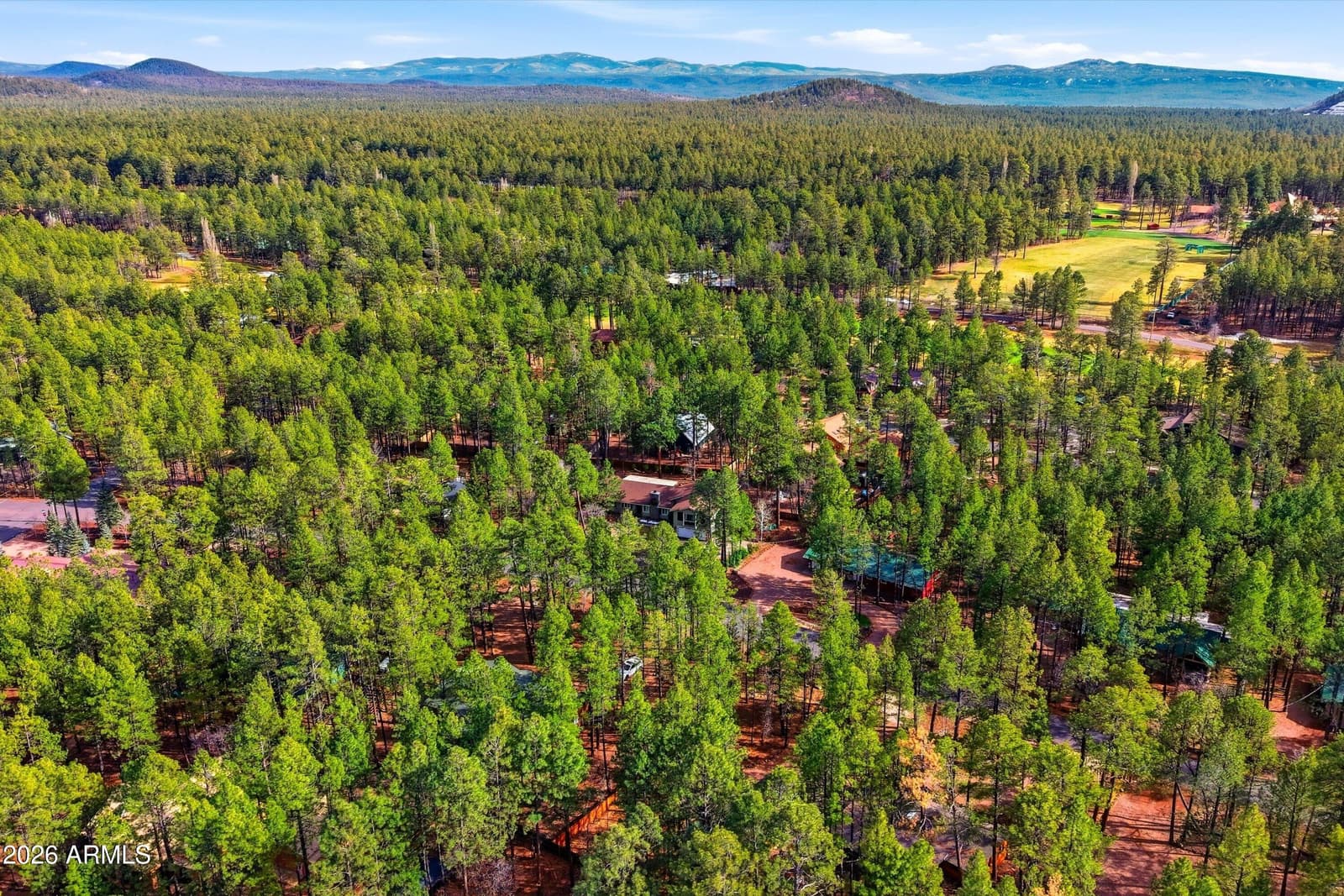 6679 TALL PINE Drive, Pinetop, AZ 85935 — photo 60 of 64