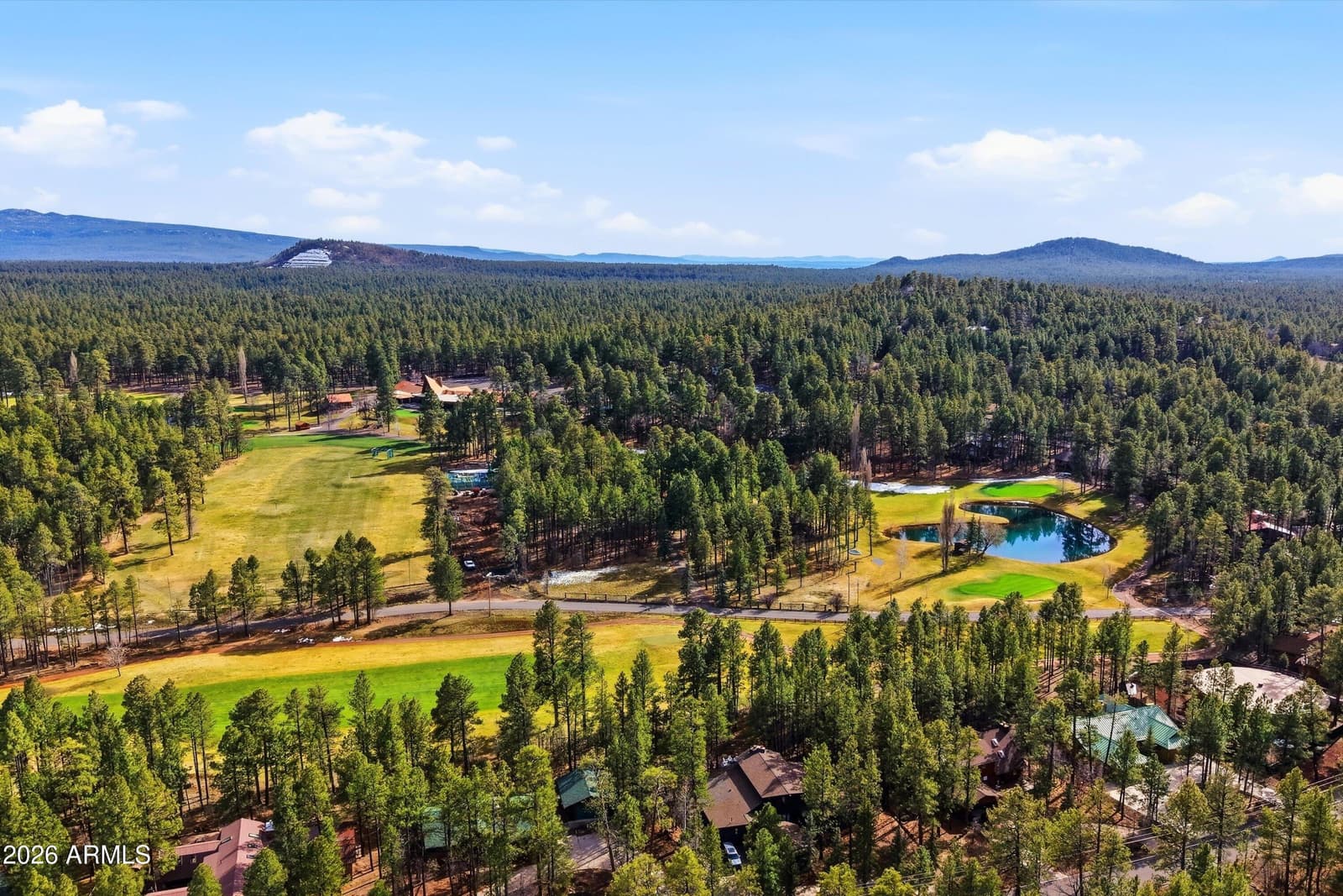 6679 TALL PINE Drive, Pinetop, AZ 85935 — photo 62 of 64