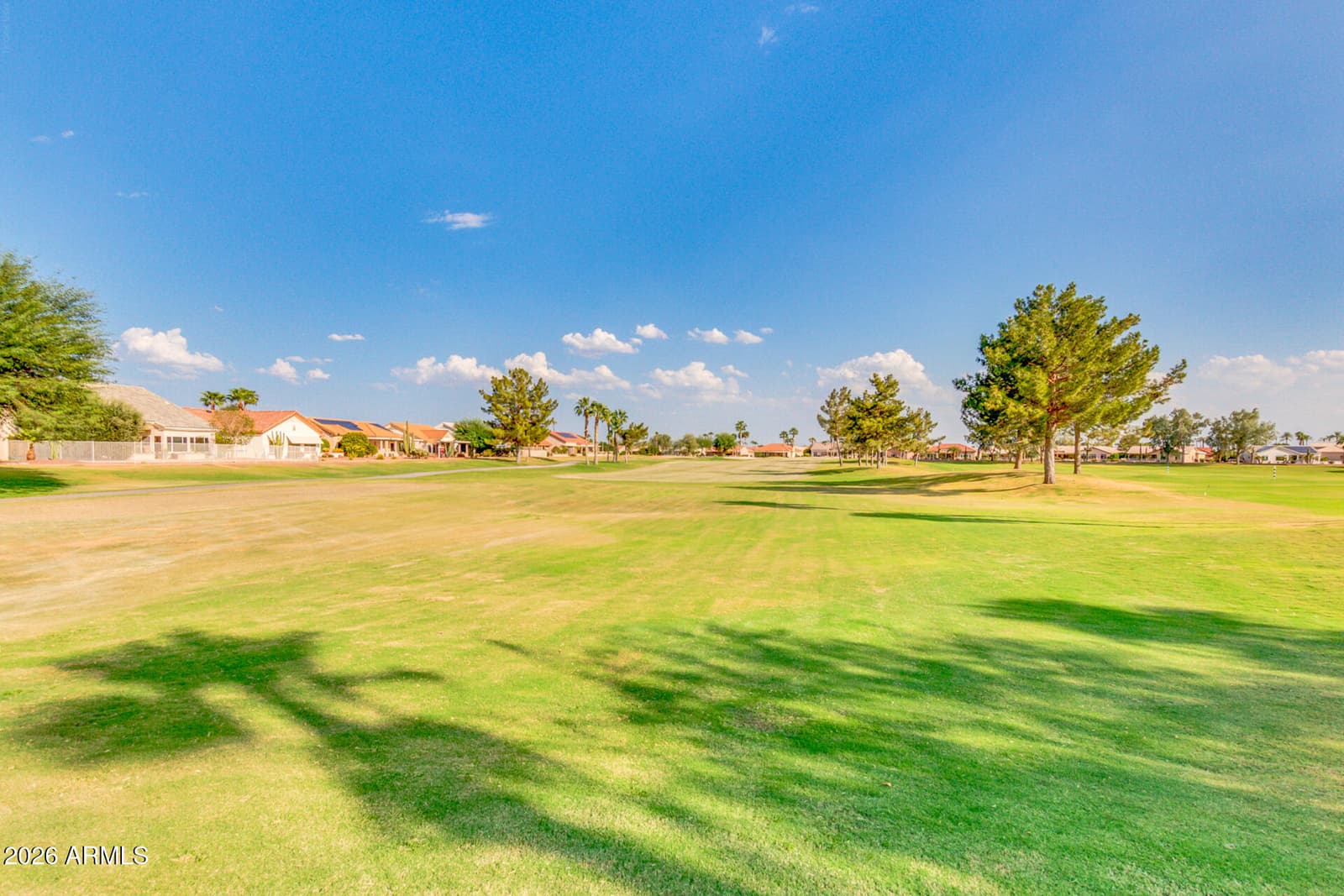 18003 N 134th Drive, Sun City West, AZ 85375 — photo 42 of 60