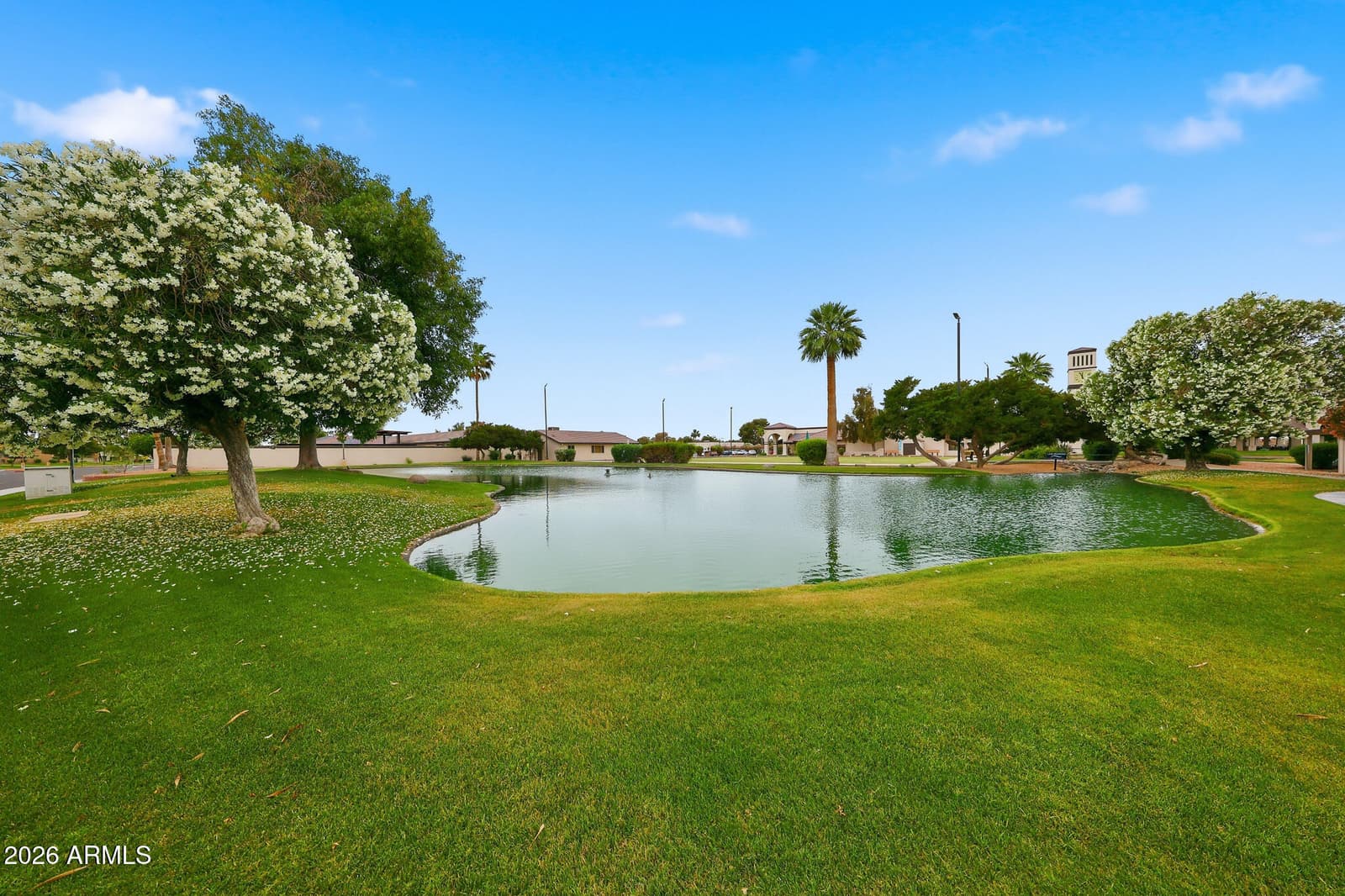1596 Leisure World, Mesa, AZ 85206 — photo 33 of 72