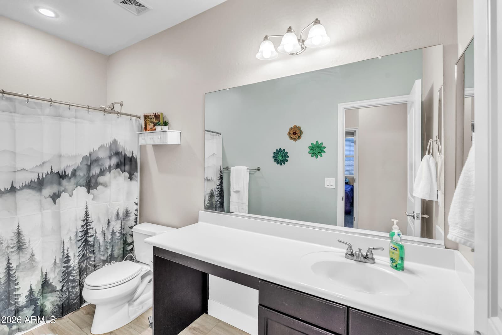 1723 W LOEMANN Drive, San Tan Valley, AZ 85144 — photo 18 of 27