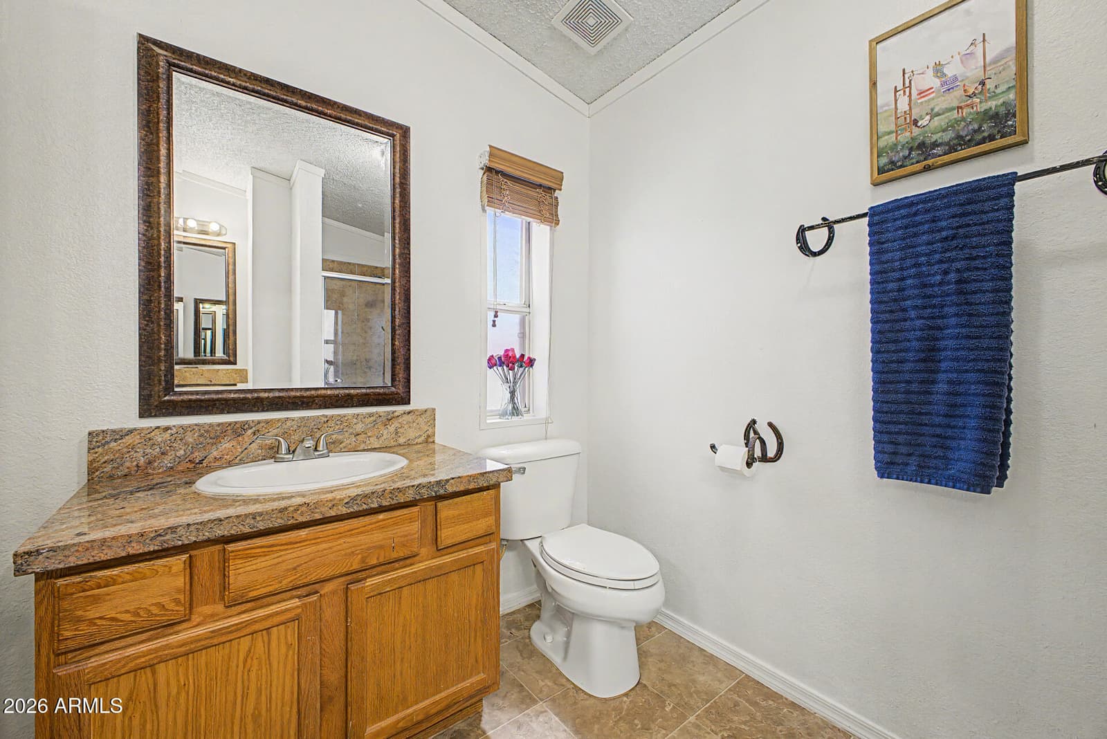 7034 N 162ND Avenue, Litchfield Park, AZ 85340 — photo 18 of 33