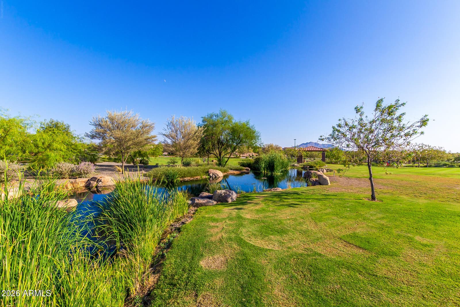 5387 S FOREST Avenue, Gilbert, AZ 85298 — photo 54 of 65