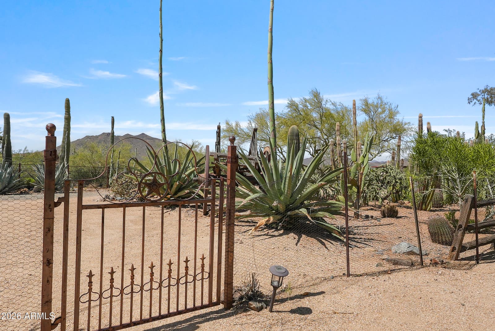 7710 E ARROYO Road, Cave Creek, AZ 85331 — photo 23 of 48