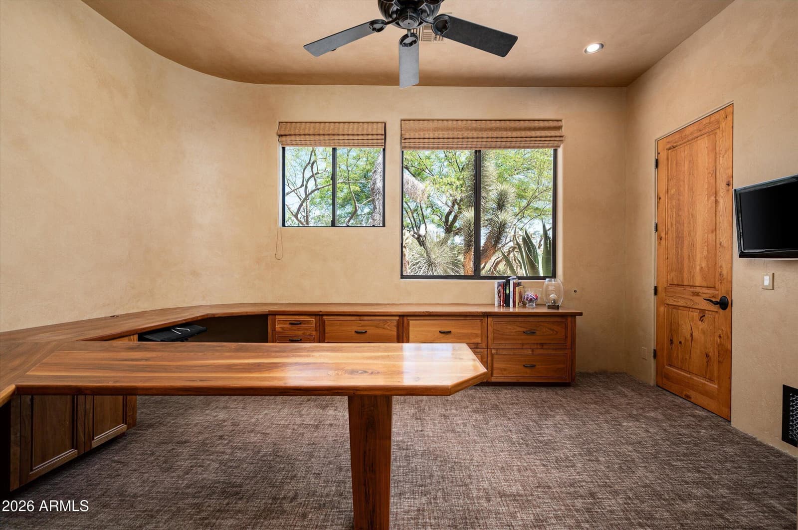 41595 N 110TH Way, Scottsdale, AZ 85262 — photo 33 of 92