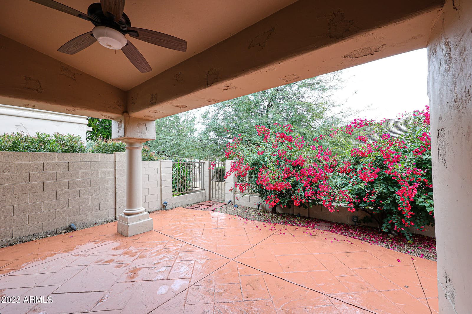 8941 E Maple Drive, Scottsdale, AZ 85255 — photo 45 of 58