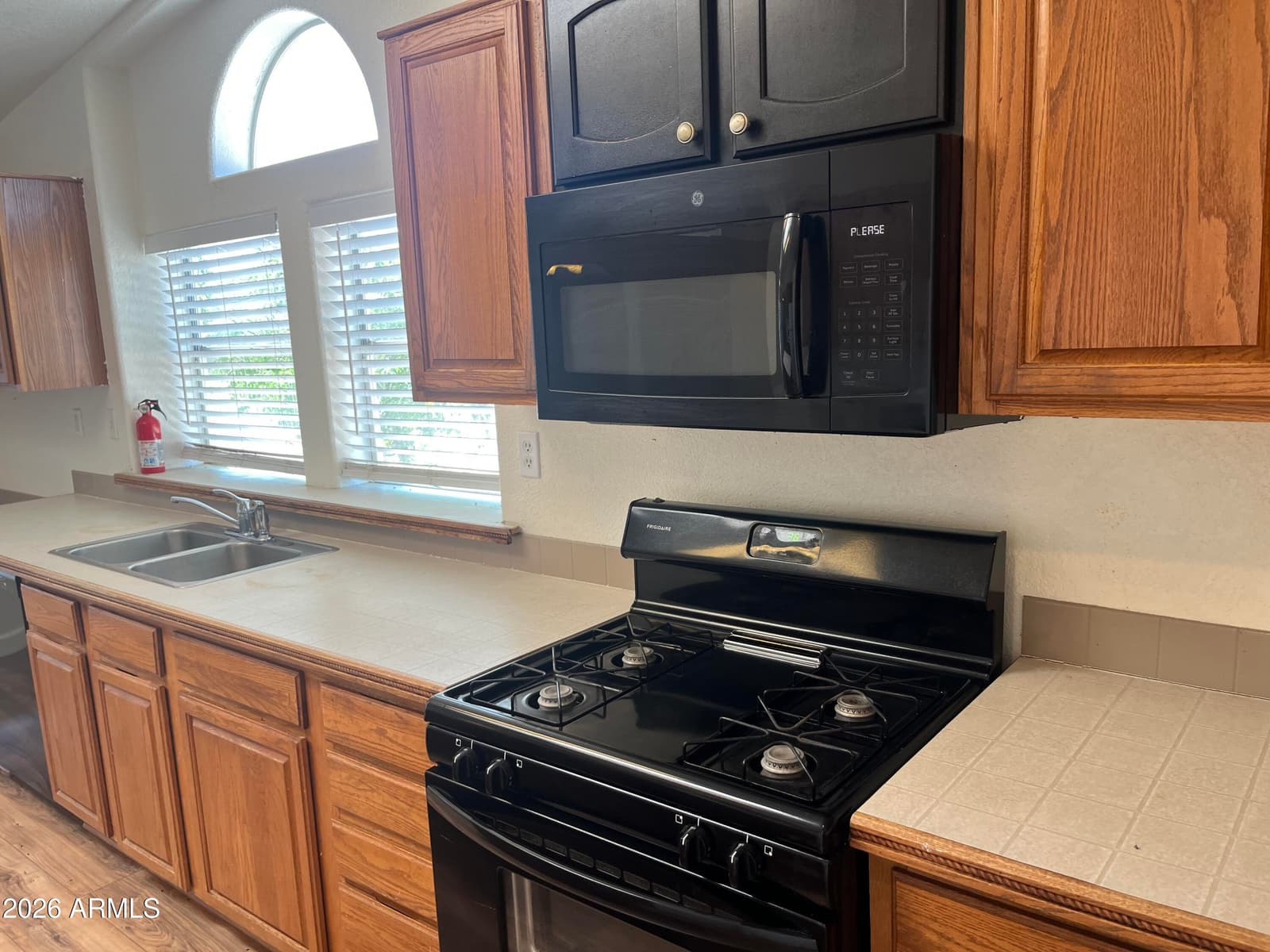 19107 W Catalina Drive, Litchfield Park, AZ 85340 — photo 8 of 29