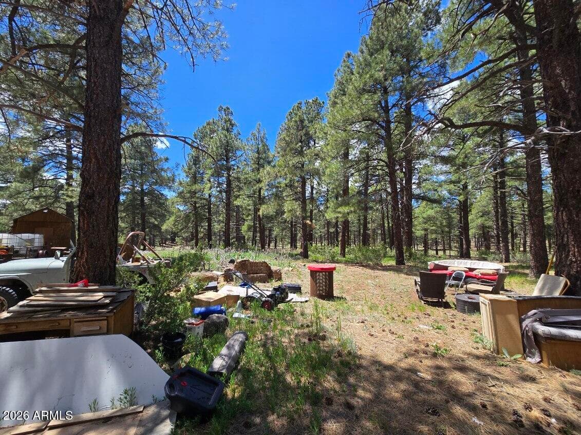 196 N Spitz Spring Road, Parks, AZ 86018 — photo 13 of 14