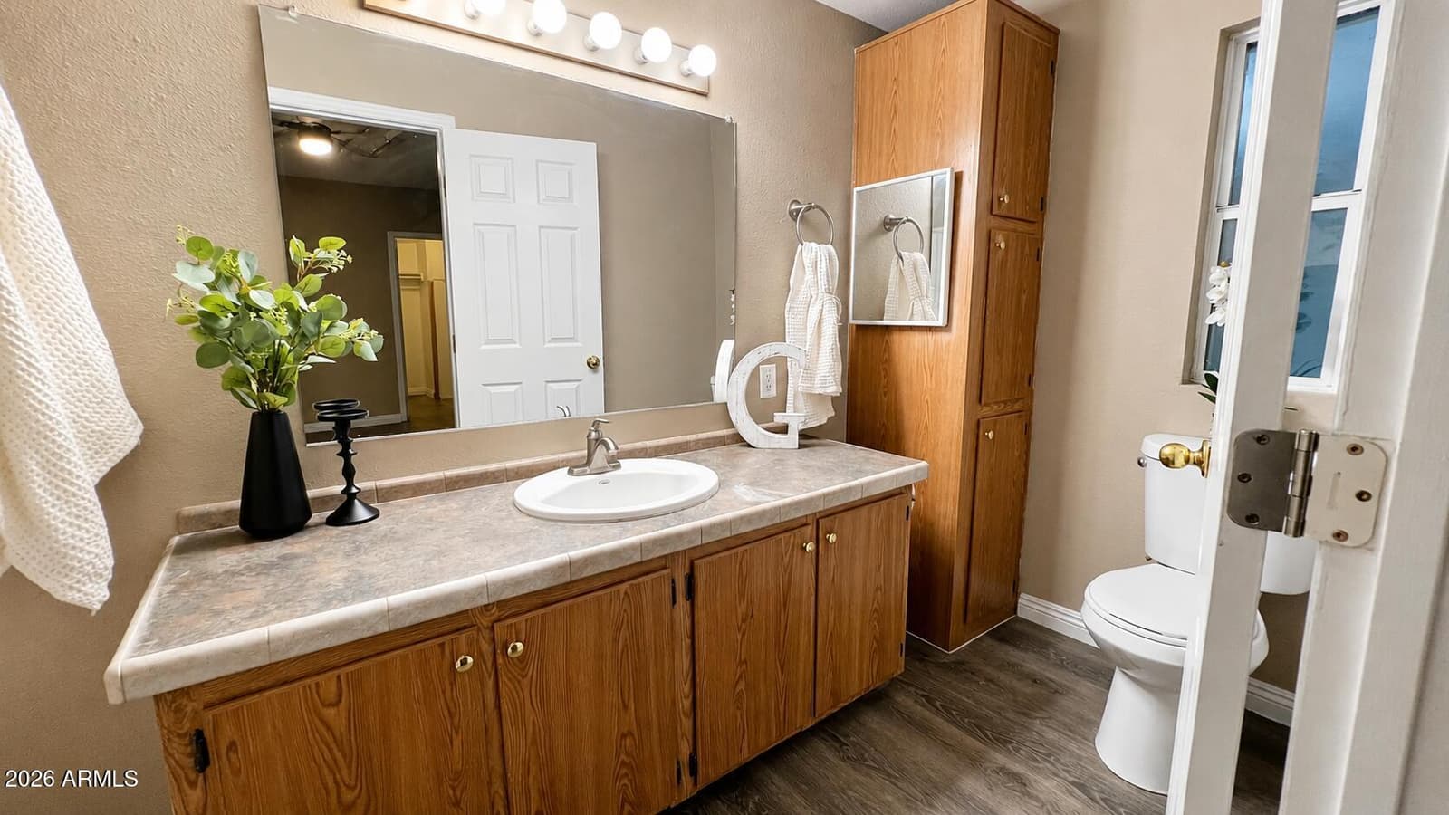 30219 N 164TH Avenue, Surprise, AZ 85387 — photo 30 of 48