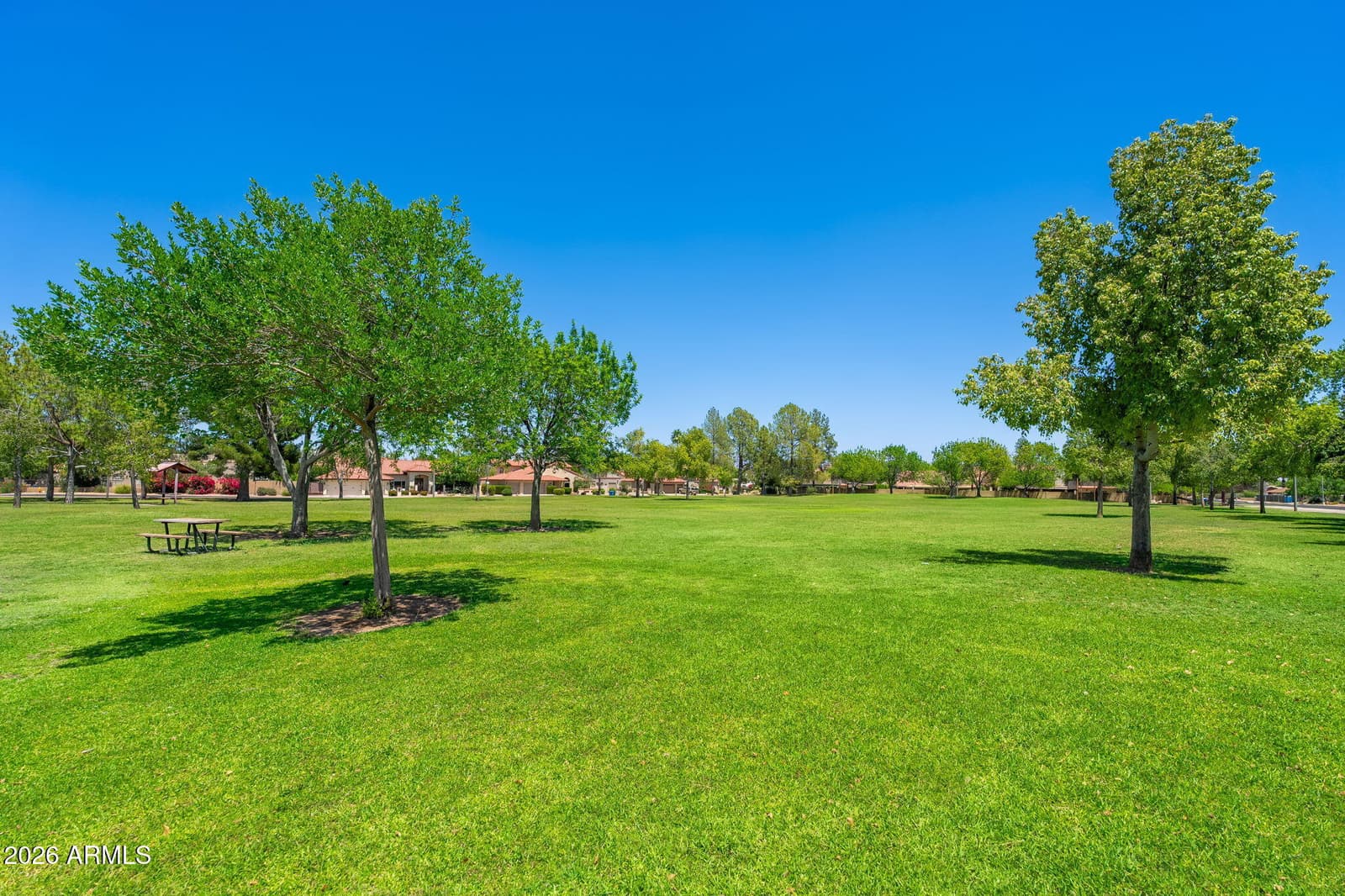 4125 E CORTEZ Street, Phoenix, AZ 85028 — photo 49 of 55