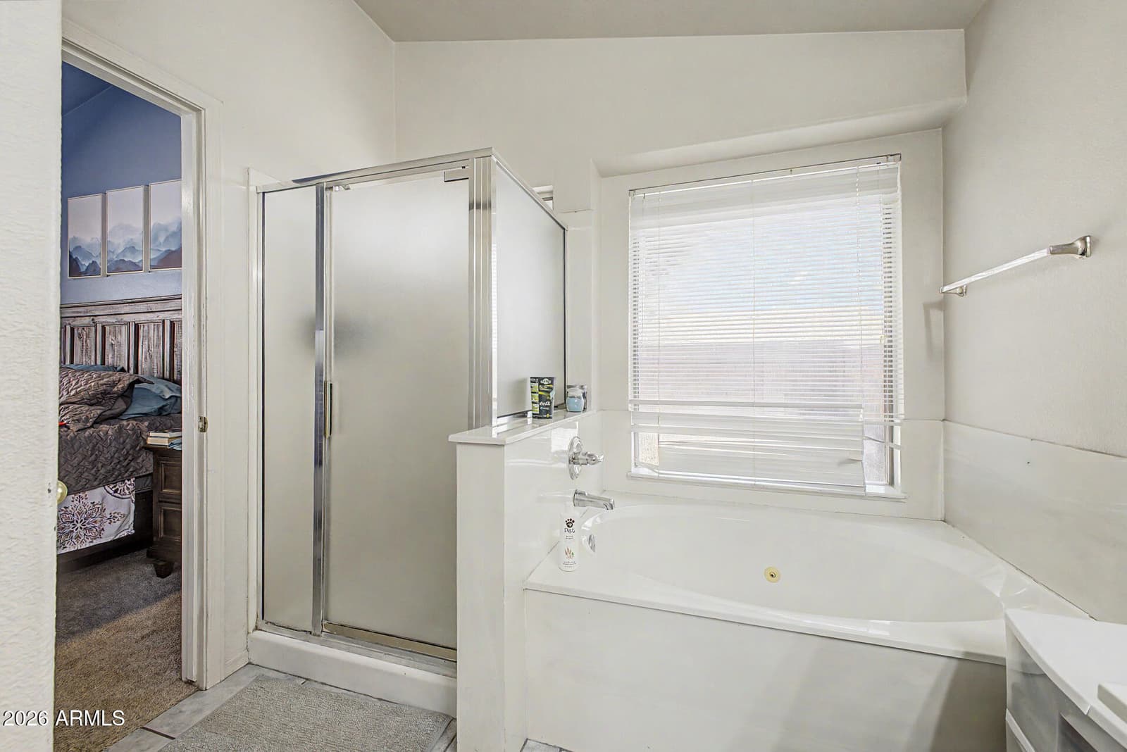 15215 W EUREKA Trail, Surprise, AZ 85374 — photo 13 of 21